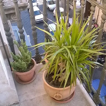Bed & Breakfast Piccola Perla *