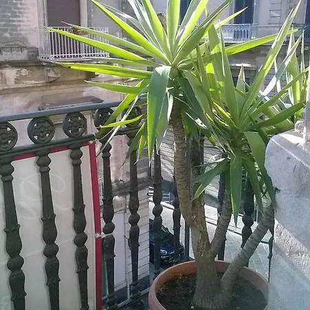 Bed & Breakfast Piccola Perla Catania